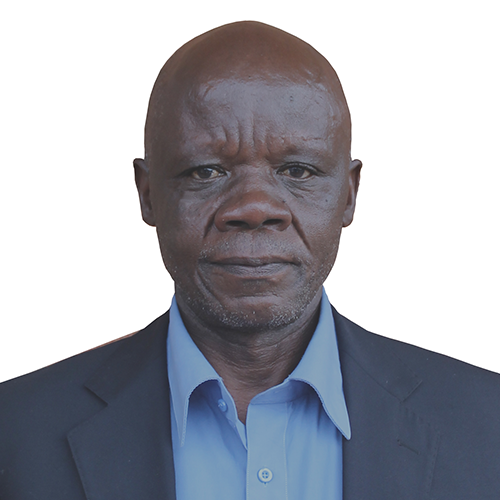 Mr. Adubango George